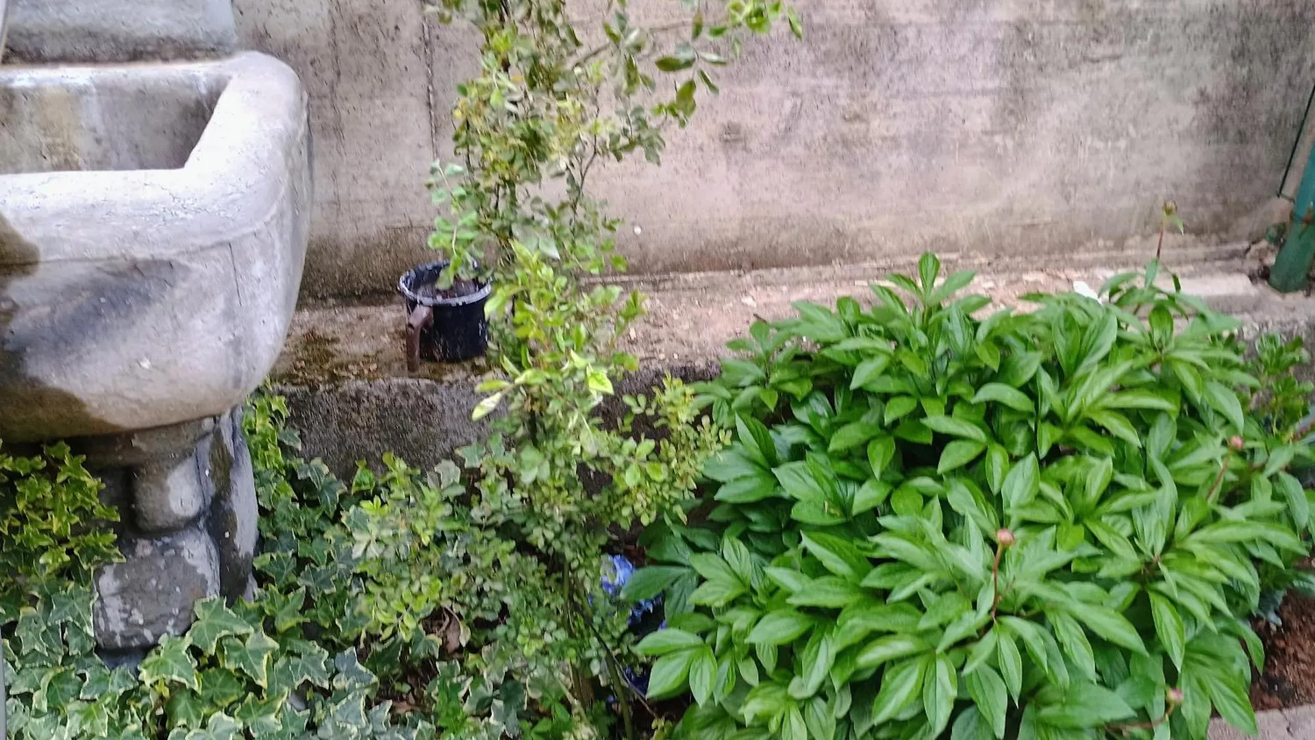 Lucky Star - Free Parking Apartment Rijeka